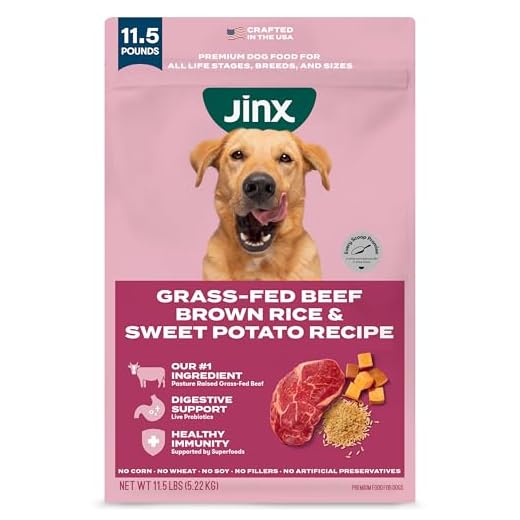 Jinx Premium Dry Dog Food, for All Lifestages - Real Beef, Brown Rice & Sweet Potato Kibble with Superfoods for Immune Support & Probiotics for Digestive Support - No Fillers - 11.5lb