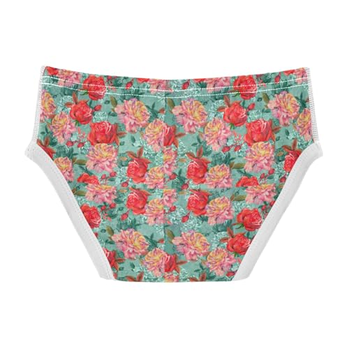 Boys' Exclusive Briefs Toddler Underwear 95% Combed Cotton Boxerbriefs 2T Rose Pattern 142