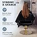 Buy-Rite Luna Gold Styling Chair for Professional Salons & Barbershops, Black Vinyl, Gold Hydraulic Base & armrests, Detailed Stitching, Seamless Cushions, Adjustable Height, YLG-356-1-GOLD-2
