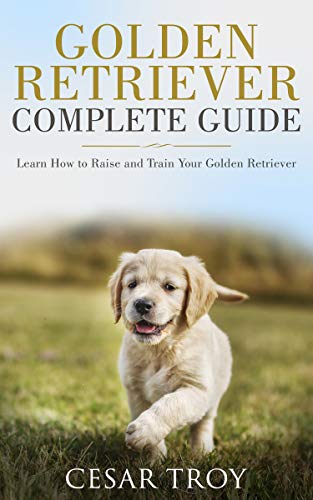 Golden Retriever Complete Guide: Learn How to Raise and Train