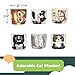 Window Garden Cute Cat Planter Pot - 6 Mini 3