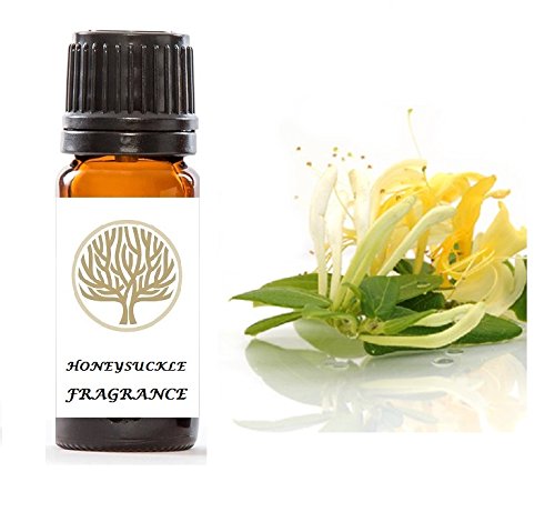 Ekoface Amber Honeysuckle Fragrance Oil 10Ml For Candle Making, Oil Burner, Potpourri & Bath
