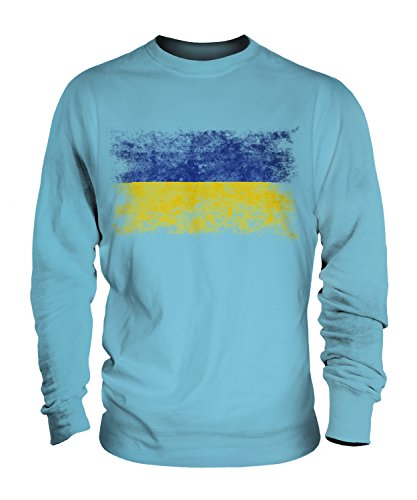 Sweat-shirt Ukraine style vintage délavé pull unisexe homme femme
