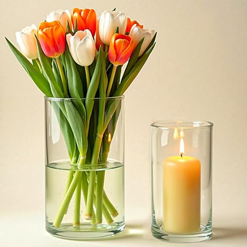 Sandraheer 24 Pack Clear Glass Cylinder Vases for Centerpieces -