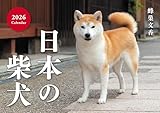 日本の柴犬カレンダー 2026（壁掛け） ([カレンダー])