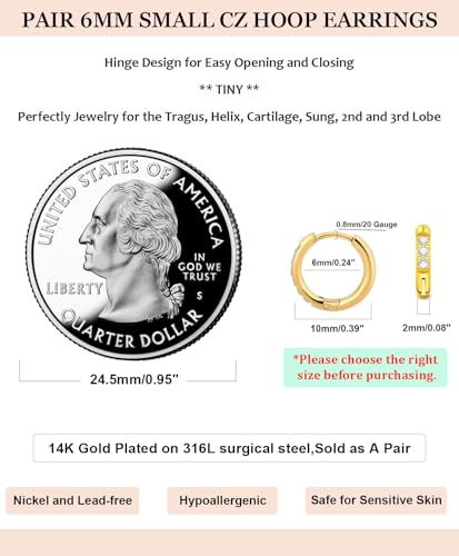 Small Gold Hoop Earrings for Women Men,14K Gold Plated in 316L Surgical Steel Hinge Huggie Hoop Earrings fit Cartilage Helix Tragus Sung Earlobe Lightweight Hypoallergenic Earrings (1 Pair-6mm)2