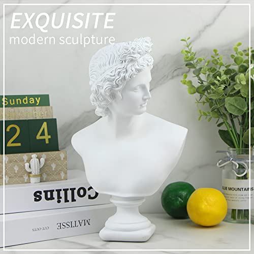 Norrclp 12.6In Greek Statue Of Apollo, Classic Roman Bust Greek Mythology Sculpture For Home Decor #TOP5