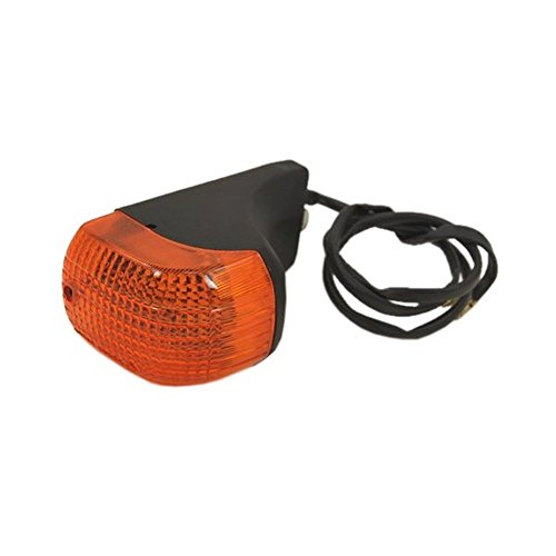 Preisvergleich Produktbild Givi Z145DX Wingrack- Blinker 1 Stück Rechts