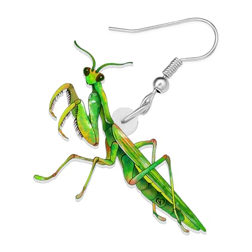 NEWEI Acrylic Insect Bug Earrings Dangle Praying Mantis Jewelry for Women Animal Lovers Funky Gifts (Praying Mantis A)4