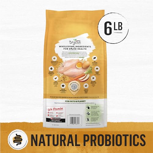 Image of Purina Beyond Natural Dry Cat Food Wholesome Ingredients for Whole Health White Meat Chicken and Whole Oat Meal Recipe - 6 lb. Bag (Pack of 2)