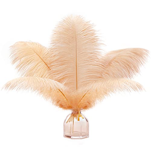 Soarer Champagne Ostrich Feathers for Vase - 15 pcs 12-14inch Feathers for Hats,Wedding Party Centerpieces,Flower Arrangement and Home Decoration.(Champagne) by Soarer - Used condition - US$13.87