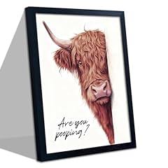 Yellow Highland Cattle