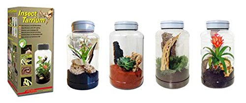 Lucky Reptile IT-5 InsectTarrium 5 l, huisdier klein rarium voor de eerste instap in het terraristiek - Afbeelding 3