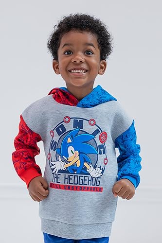 Image of SEGA Sonic the Hedgehog Boys' Fleece Hoodie Toddler to Big Kid