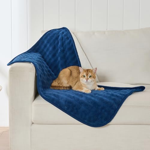 Yaning huPbg xbh JE` \t@  \tg Rh~ puPbg 3Doup^[ o[Vu h ybguPbg  L qp (76.2 cmx101.6 cmAlCr[u[)