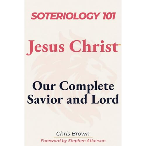 Soteriology 101 Audiolibro Por Chris Brown arte de portada