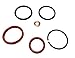 Diesel Fuel Injector O-Ring Seal Kit Pack of 8 For 94-03 Ford 7.3L Powerstroke International Navistar T444e Replaces CM5010 XC3Z-9229-AB 1833564C92 Service all 8 HEUI Injectors IMPROVED UPDATED DESIGN