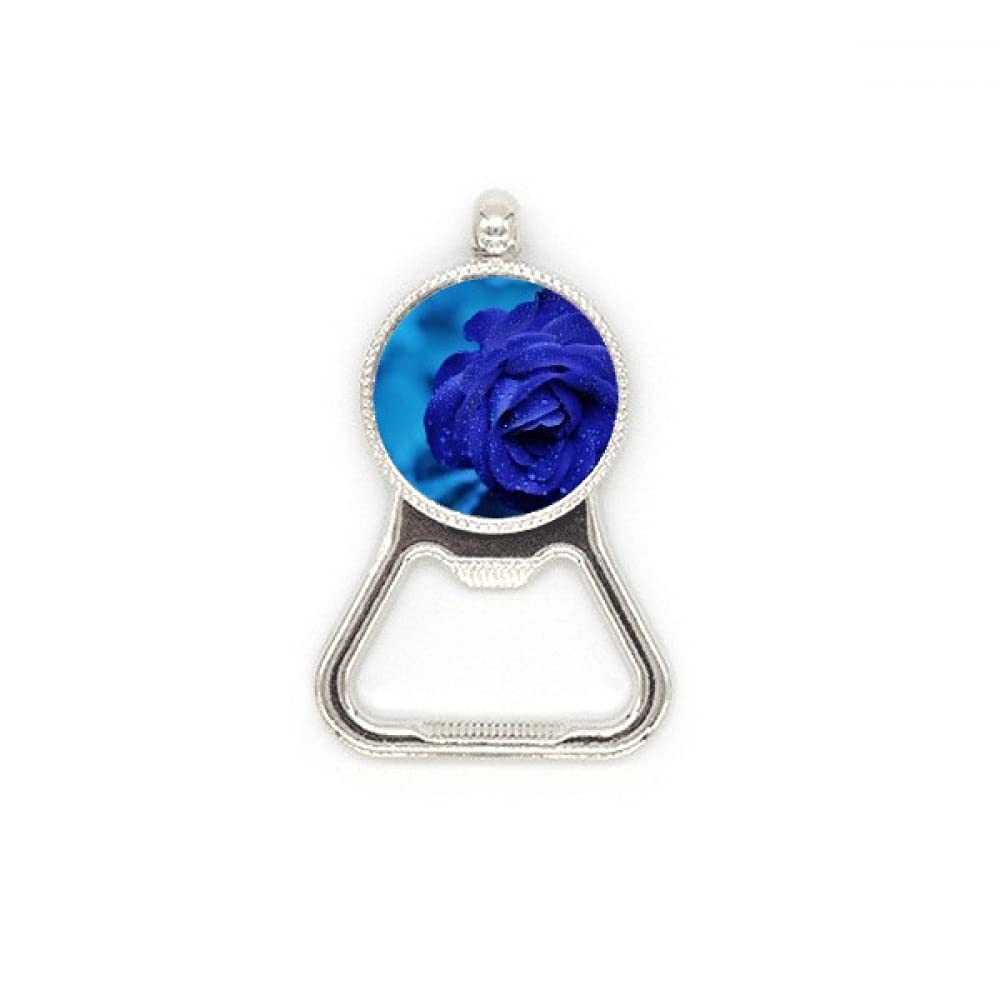Décapsuleur acier inoxydable roses bleu foncé durable et esthétique