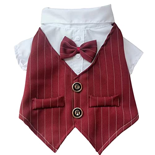 HDKUW ���p�E�F�f�B���O�V���c�A���l�N�^�C�t���h�b�O�^�L�V�[�h�A�h�b�O�E�F�f�B���O�t�H�[�}���X�[�c�A����񉤎q�a�m�R�X�`���[�� ���^ ���^���p �o�[�K���f�B 2XL