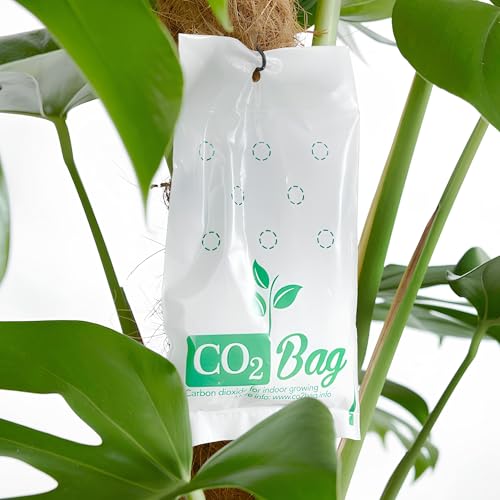 CO2BAG M para crecimiento efectivo 2 unidades miniatura 5