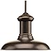 Progress Lighting P5024-2030K9 Brookside LED Pendants, Antique Bronze