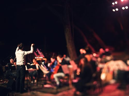 Daniel Clive McCallum