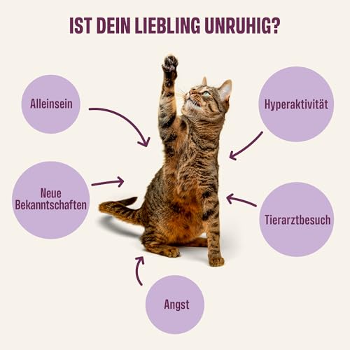 ivvi Ruhe Essenz für Katzen – Anti-Stress Schleck-Snacks mit Kamille, L-Tryptophan & Magnesium – Unterstützt Entspannung & Wohlbefinden – mit echtem Thunfisch – 30 Sticks x 15 g (450 g)
