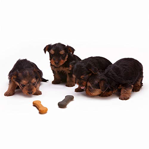 Julius Studio 9 X 13 Ft. Photo Studio Chromakey Background Muslin Backdrop Bundle Kit, Black, White, Green Premium Quality Fabric Material, Wrinkle Resistant, Photo Video Studio, Promo05_Am1 #TOP5