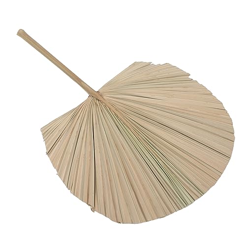 Hoja de Palma Seca Decorativa para Bodas y Eventos miniatura 1