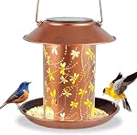 Solar Bird Feeder with LED Lantern, Dragonfly Pattern, Metal, Waterproof, Hanging Design, 2 lbs Capacity, 6.3 x 6.3 inches,