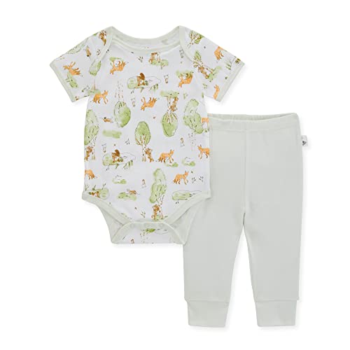 Image of Burt's Bees Baby Unisex Bodysuit and Pant Set, 100% Organic Cotton