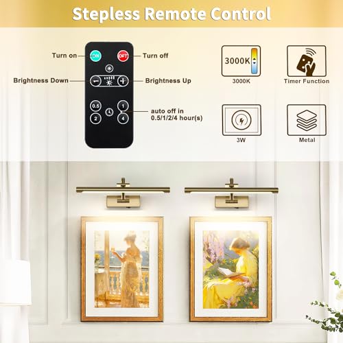 DESOOP Luz de imagem operada por bateria com controle remoto e temporizador, luzes de arte sem fio p