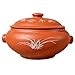Gliniana Zapiekanka Ceramiczna z Pokrywką Nieprzywierający Ceramiczny Niski Garnek Parowiec Japoński Żaroodporny Gorący Garnek Zdrowa Zapiekanka Czerwony Powolny Gulasz Garnek Zupy 21x21x14.5 cm (8x8x6in)