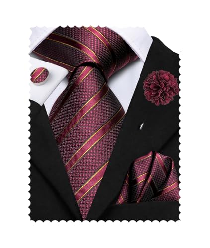 Image of Hi-Tie Mens Paisley Floral Striped Ties Set Silk Necktie and Lapel Pin for Men Pocket Square Cufflinks Set Business Wedding