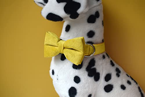 Collier pour chien personnalisable avec boucle en métal, colliers personnalisables pour animaux de compagnie avec nom, numéro de téléphone, adresse gravée, velours style B – Image 6