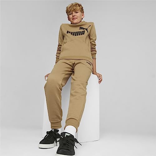 Image of Puma Boys Cotton Hooded Neck Sweatshirt