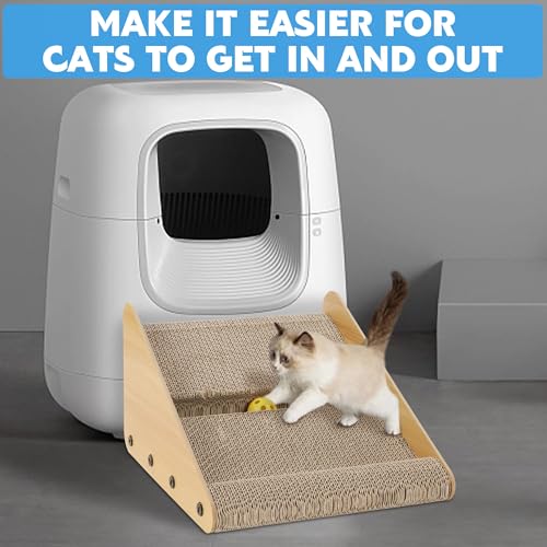 Rampilla para caja de arena para gatos y gatitos miniatura 5