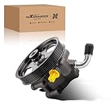 maXpeedingrods 20-282 Power Steering Pump with Pulley for Ford F-150 1997-2005, F-250 1997-1999, Expedition 2001-2002, Crown Victoria 1999-2002, F65Z3A674AA, F85Z3A674AA