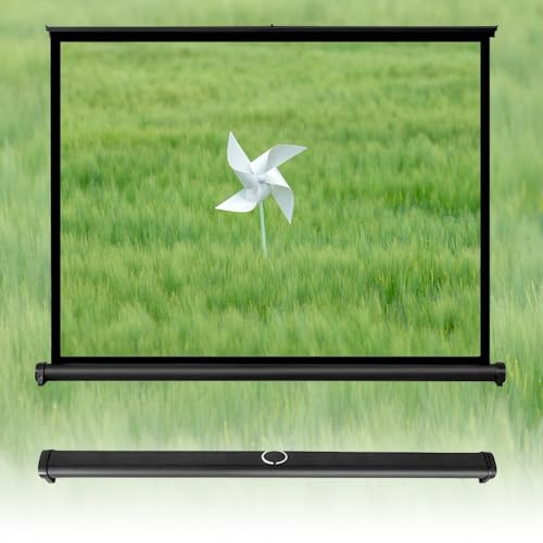 SMCMGECEUZ Mobile Tisch-Leinwand 20 30 40 50 Zoll Manuell Beamer Leinwand Mit Tragetasch Tragbare Projektionsleinwand Für Schule Camping Büro(20inch (16:9))