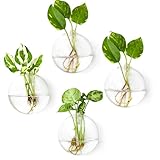 Ivolador Wall Hanging Planter Propagation Station Glass Flower Vase for Hydroponics Plants, Home Office Living Room Decor Gift, Set of 4
