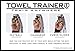 TOWEL TRAINER - Throwing and Pitching Trainer for Baseball and Softball