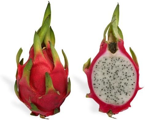 December01 & 20 White Dragon Fruit (Pitaya/Pitahaya/Strawberry Pear) Hylocereus Undatus Cactus Seeds
