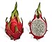 December01 & 20 WHITE DRAGON FRUIT (Pitaya / Pitahaya / Strawberry Pear) Hylocereus Undatus Cactus Seeds