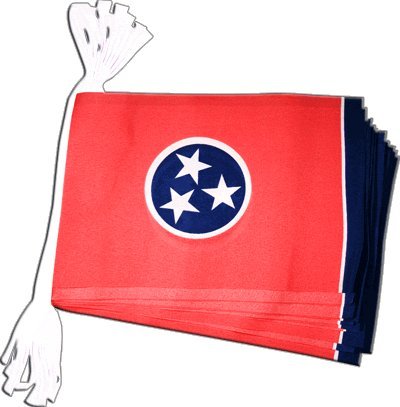 Drapeau USA Tennessee guirlande 5,9 m Digni pour decorer une grande salle