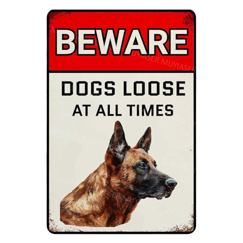 MUYIASER Beware Of Dogs Loose At All Time Sign Belgian Malinois Warning Sign Aluminum Metal Tin Signs Outdoor Yard Sign Warning Sign For Fence Yard Home Kitchen Farm Garden Wall Decor 8x12 Inch