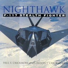 Nighthawk: F-117 stealth fighter