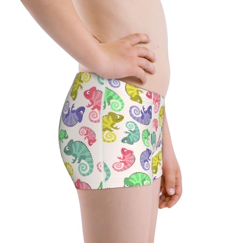 Boys' Cotton Boxer Brief Soft Underwear-Cute Chameleons2
