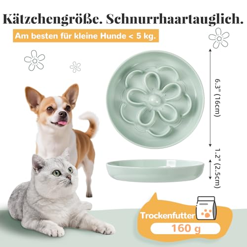 Anti-Schling Fressnapf Katze aus Melamin - Labyrinth Futternapf für langsames Fressen - Katzennapf für Trocken- & Nassfutter - Spülmaschinenfest - 16 x 2,5 cm - Weiß