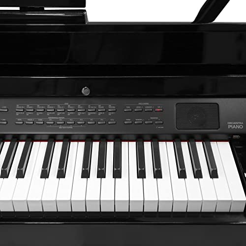 Divarte, Orchestra Piano BK , Piano numérique quart de queue 88 touches, Bluetooth audio/MIDI, écran LCD multifonctions… - Les Beatles, Paul McCartney, John Lennon, RIngo Starr, George Harrison Divarte, Orchestra Piano BK , Piano numérique quart de queue 88 touches, Bluetooth audio/MIDI, écran LCD multifonctions… – Image 3