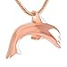 rmdfz Collana con Vaso di cremazione Acciaio, Oro, Colore Rosa Lucidatura Superiore Design Animale Vuoto Forma di Delfino Pet Urn Ashes Holder Keepsake Cremation Jewelry